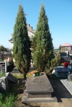 zdjęcie grobu Powstańca Styczniowego Romana Pikulskiego w Kraszewicach (2015)