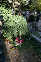 zdjęcie grobu Tadeusza Skórki - ofiary II wojny światowej. Poznań