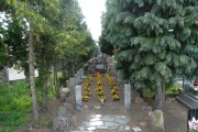 zdjęcie grobu Powstańców Styczniowych w Dobrosołowie