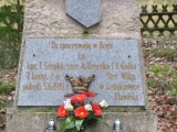zdjęcie grobu powstańców wielkopolskich w Pławiskach