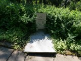 zdjęcie grobu Andrzeja Glińskiego - ofiary Powstania Poznański Czerwiec '56