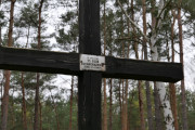 zdjęcie grobu 35 Polaków zamordowanych przez Niemców w 1940 r. Tury