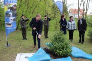 Świerk pamięci poświęcony córkom generała broni Józefa Dowbor Muśnickiego.