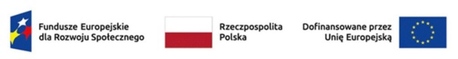 Logo UE i Funduszy Europejskich oraz Polski