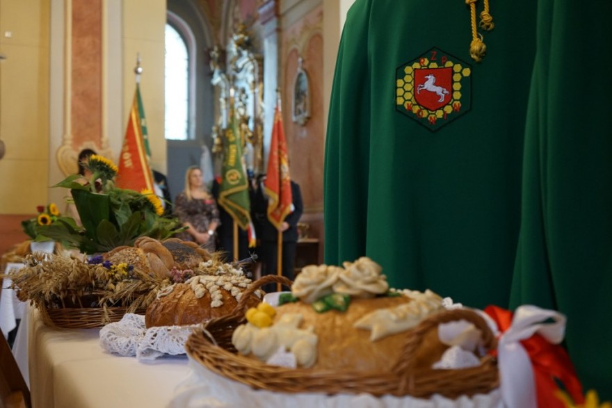 Chleby dożynkowe wraz z pocztami sztandarowymi