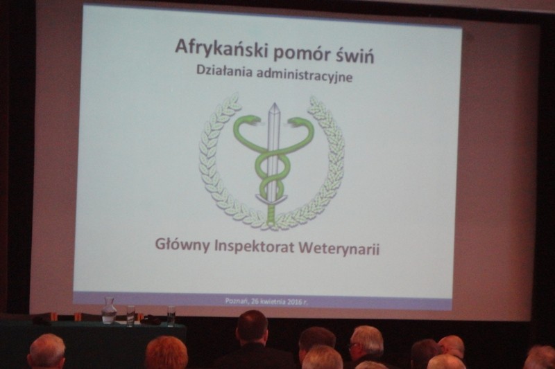 Slajd prezentacji Afrykański pomór świń - działania administracyjne.