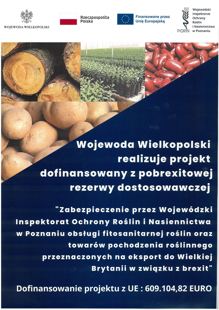 Plakat - wojewoda realizuje projekt dofinansowany z pobrexitowej rezerwy dostosowawczej